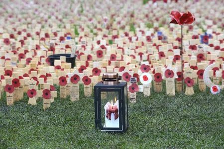 One of the handmade ceramic poppies by artist Paul Cummins and designer Tom Piper is planted amongst the Field of Remembrance on display at Caernarfon Castle, Wales, October 17, 2016. REUTERS/Rebecca Naden