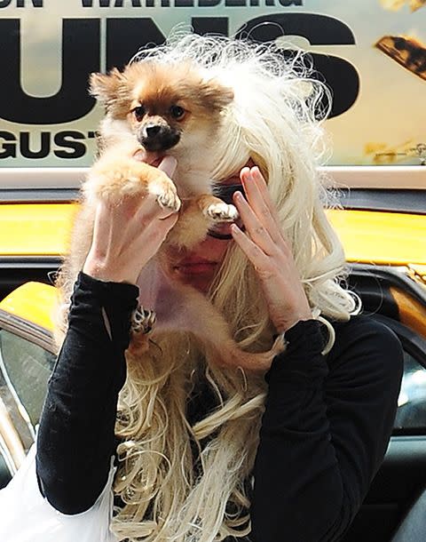 Amanda Bynes blonde wig with dog 2013