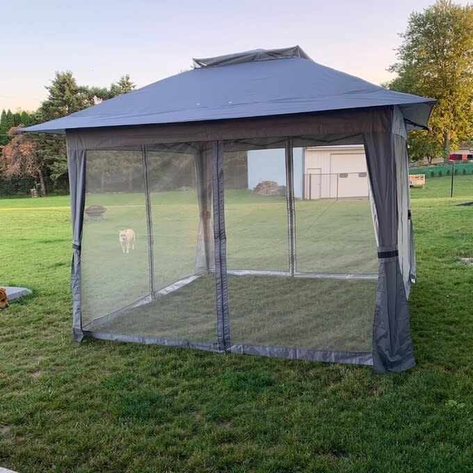 Gazebo with net walls in a backyard; a dog is visible through the netting. Perfect for outdoor shopping