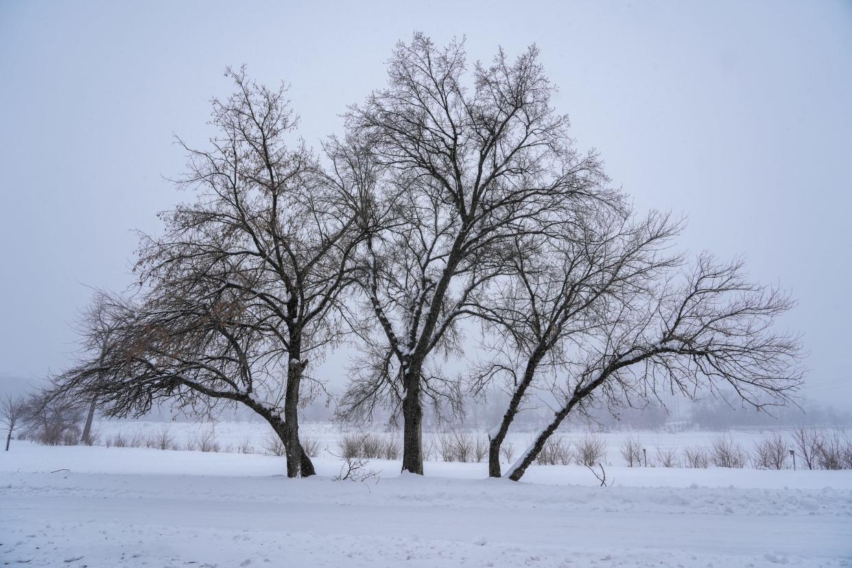 Near-record snowfall in Iowa in January has helped tamp down drought conditions, the Iowa Department of Natural Resources says.