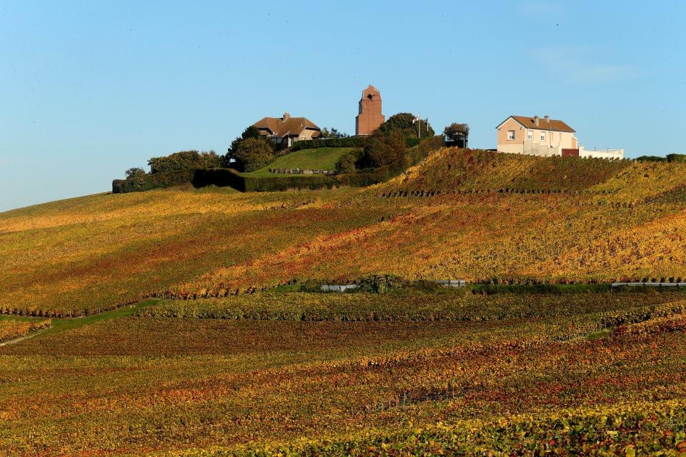 La commune de Mailly-Champagne, près de Reims, en octobre 2013 (PHOTO D'ILLUSTRATION). - FRANCOIS NASCIMBENI / AFP