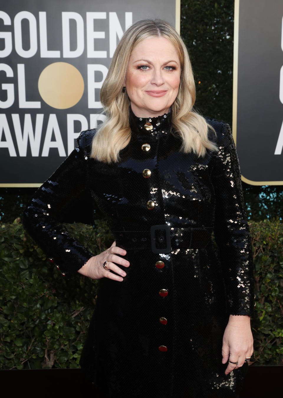 Amy Poehler on the red carpet at the Golden Globes 2021
