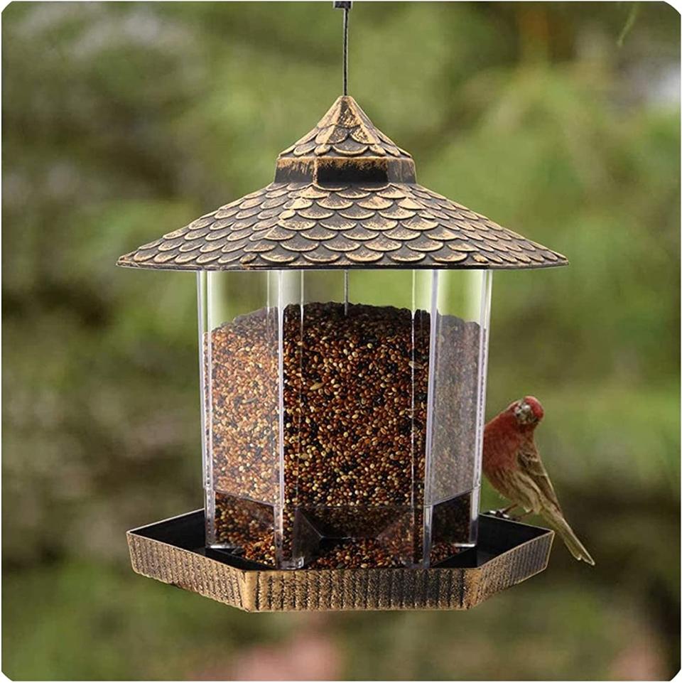 https://www.amazon.com/Feeding-Platform-Feeders-Outdoors-Durable/dp/B09VGYFZ74/ref=sr_1_3_sspa?keywords=ground%2Bbird%2Bfeeder&qid=1655428623&sprefix=ground%2Bbird%2B%2Caps%2C87&sr=8-3-spons&spLa=ZW5jcnlwdGVkUXVhbGlmaWVyPUFEMjZaNlVWVkRaTTYmZW5jcnlwdGVkSWQ9QTAzMjI5MTVTTzdLU0xNMzNNOTImZW5jcnlwdGVkQWRJZD1BMDg5MTI0MVZMTFk1U04yMEI5MyZ3aWRnZXROYW1lPXNwX2F0ZiZhY3Rpb249Y2xpY2tSZWRpcmVjdCZkb05vdExvZ0NsaWNrPXRydWU&th=1