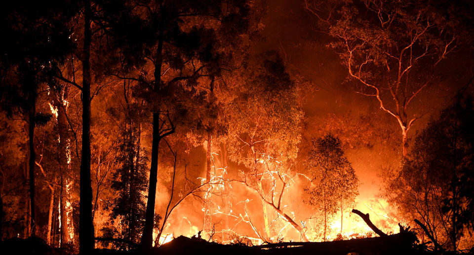 A man, 51, has been charged after allegedly lighting an Ebor fire to protect his cannabis crop. Pictured is a stock image of a NSW bushfire.