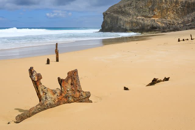 <p>Getty</p> There have been several shark attacks in South Australia this year