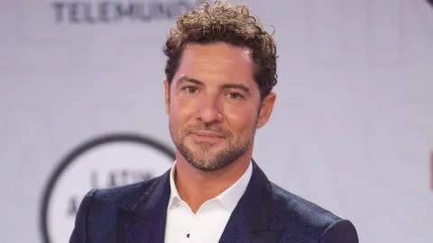 David Bisbal / Cortesía 