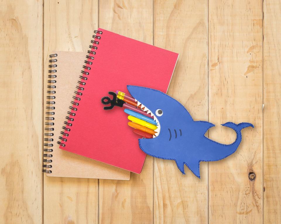 Shark Pencil Case