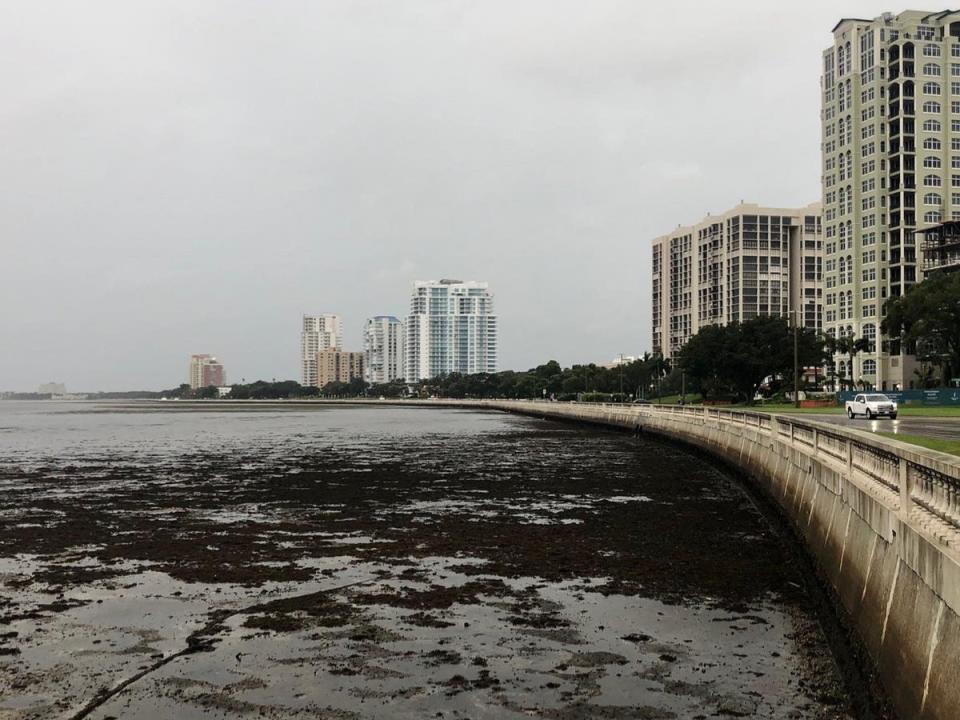 Water pulled out from Tampa Bay as Hurricane Ian causes a “reverse storm surge