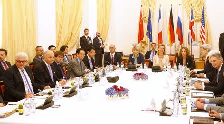 German Foreign Minister Frank Walter Steinmeier (L), French Foreign Minister Laurent Fabius (2nd L), EU Deputy Secretary General for the External Action Service Helga Schmid (6th R), European Union High Representative for Foreign Affairs and Security Policy Federica Mogherini (5th R), U.S. Secretary of State John Kerry (3rd R) and British Foreign Secretary Philip Hammond (R ) meet along with representatives from China and Russia at a hotel in Vienna, Austria July 9, 2015. REUTERS/Leonhard Foeger