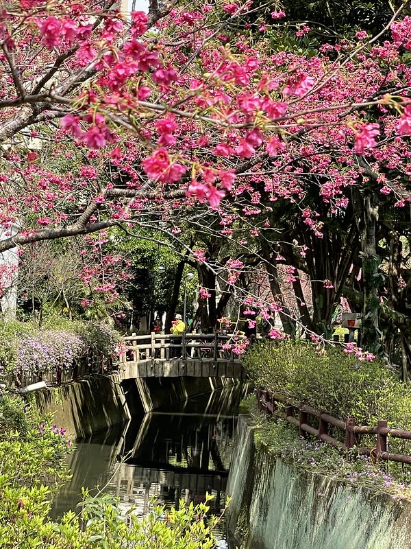 桃園中壢｜莒光公園