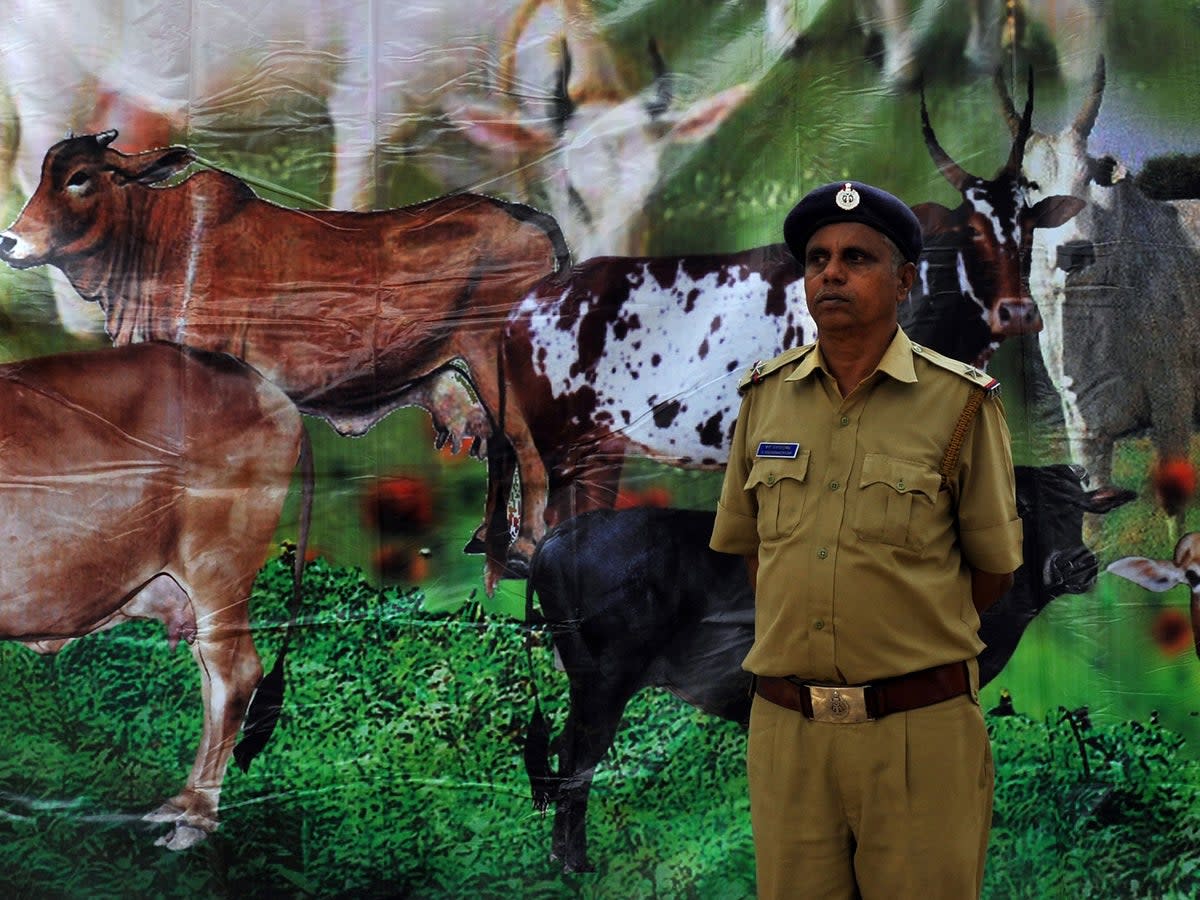 An Indian policeman stands in front of a poster depicting cows as Hindus demonstrated in support of the cow slaughter ban bill passed in the Karnataka state Legislative Assembly in Bangalore on July 20, 2010. (DIBYANGSHU SARKAR/AFP/Getty Images)