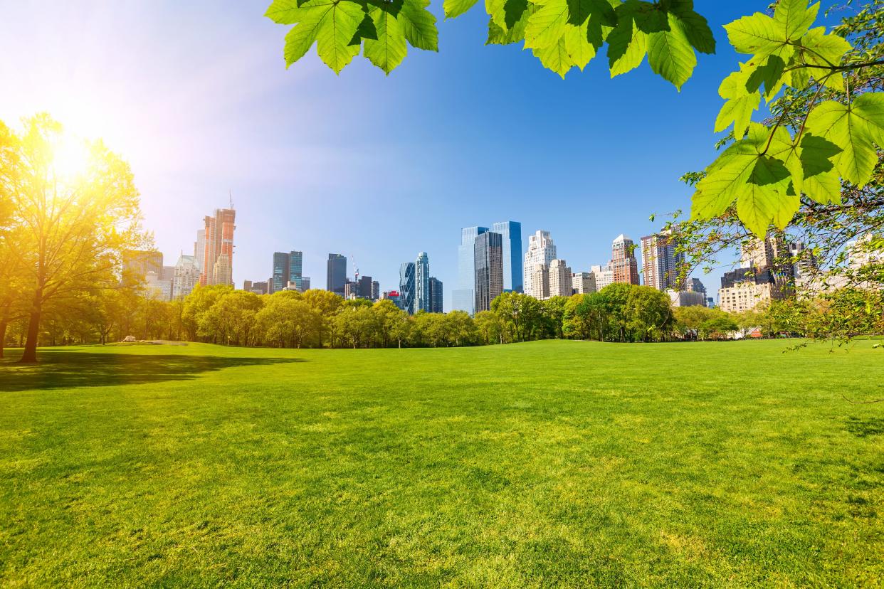 Central Park in New York City.