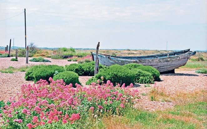 An old boat on the shore at Dungeness - Alamy 