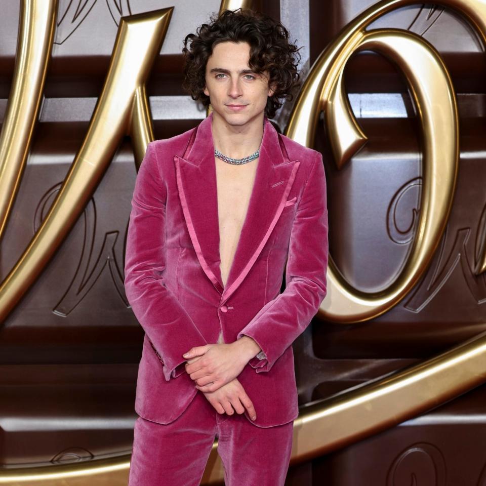 Timothee Chalamet Wonka premiere