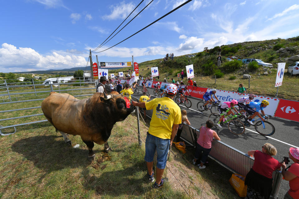 Tour de France 2018 : les plus belles photos de la Grande Boucle
