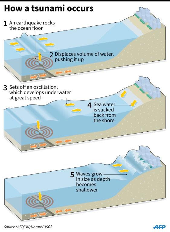 Graphic on how a tsunami occurs