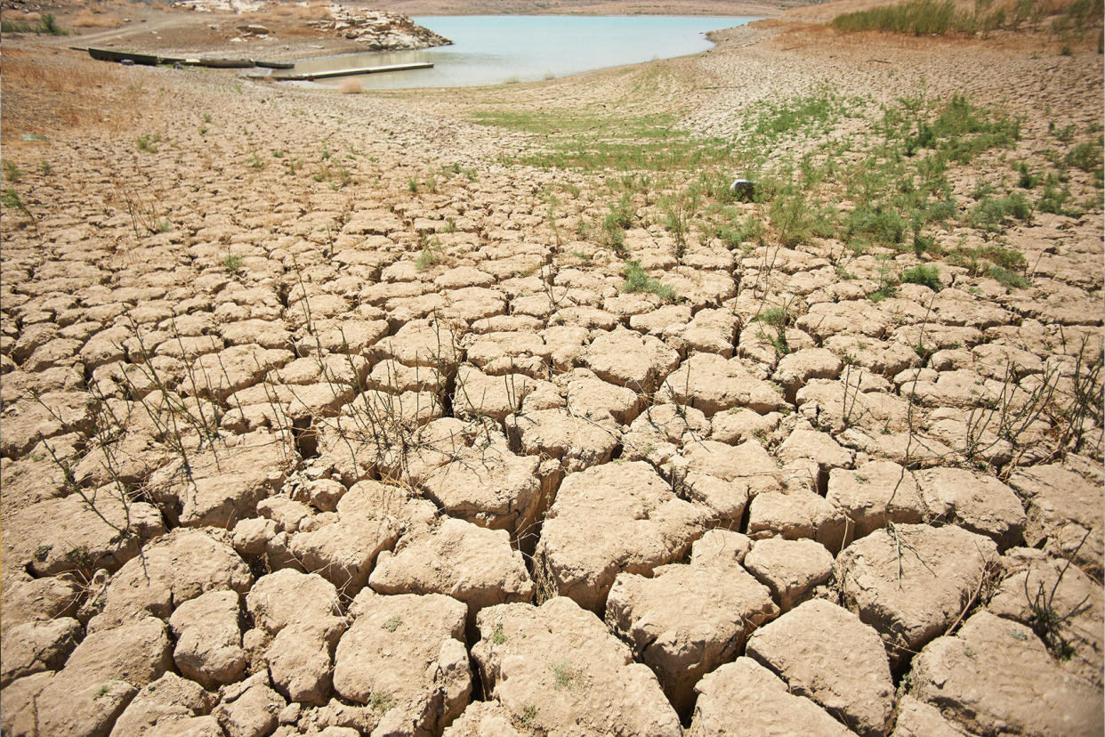 Drought in southern Spain Felipe Passolas/picture alliance via Getty Images