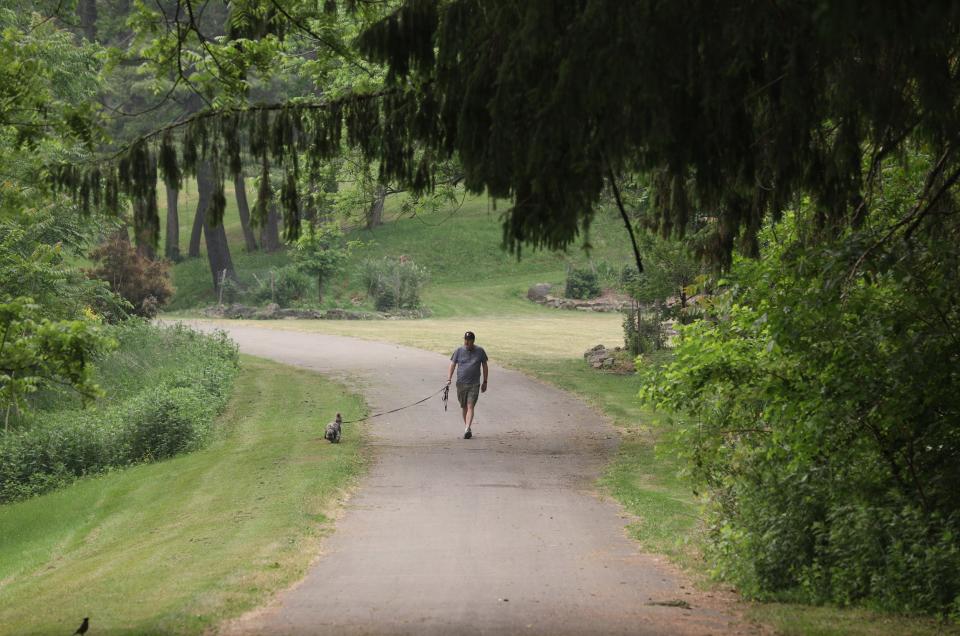 Jim Stewart of Brighton takes his dog, Whisky, for a walk at Ellison Park in Brighton.