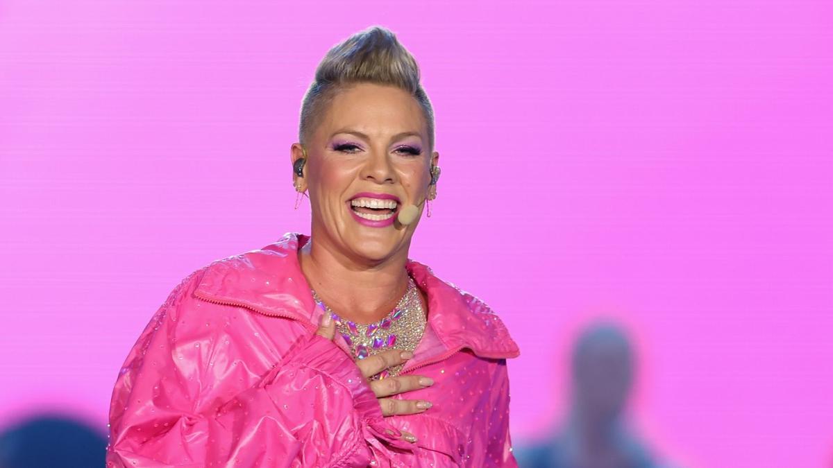 Pink's Legs Are *Beyond* Sculpted In A Sparkly Leotard in These Pics