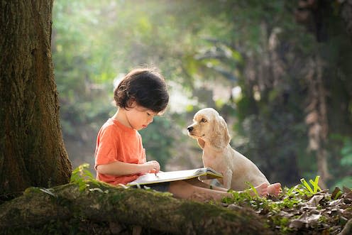   <span class="attribution"><a class="link " href="https://www.shutterstock.com/image-photo/asian-boy-dog-kid-read-book-1486866203" rel="nofollow noopener" target="_blank" data-ylk="slk:Jeanette Virginia Goh/Shutterstock;elm:context_link;itc:0;sec:content-canvas">Jeanette Virginia Goh/Shutterstock</a></span>