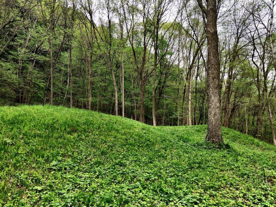 Iowa: Effigy Mounds National Monument