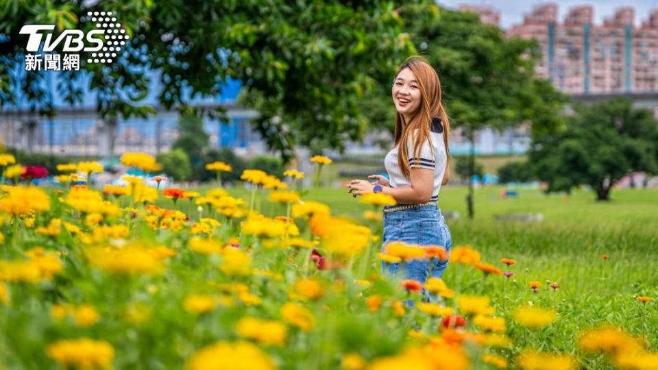 相約好友到大都會公園花海美拍打卡，也是夏日踏青的好選擇。圖/新北高灘處提供