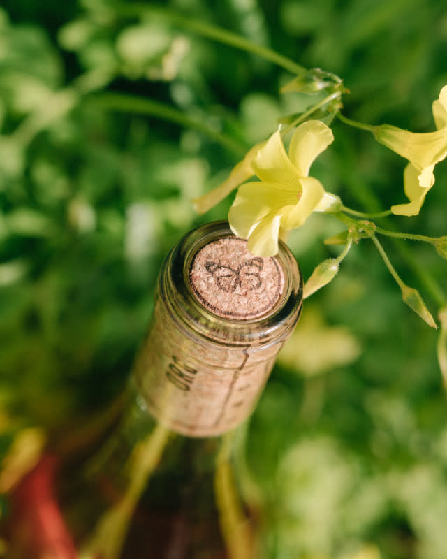 <p>Courtesy of RAEN</p><p>MK: Are there any wine closures more sustainable than a 100% natural cork? </p><p><em>PEDRO FERNANDES: No, natural cork continues to be the most sustainable wine closure there is. For every 1 ton of cork harvested from the forest 73 tons of CO2 are sequestered from the atmosphere.This is a resource that renews itself in 9 year cycles with minimal to no human intervention. When you think of any alternative closure today that is sourced from mining activities or oil drilling I don’t believe that you need extensive understanding of sustainability metrics to comprehend that a natural, self renewable resource like cork is a much more sustainable solution. </em></p><p>MK: How effective is Amorim cork at offsetting carbon footprint? </p><p><em>PEDRO FERNANDES: Amorim has dedicated the past 154 years of business to the research and development of cork, bridging sustainability with technology. Taking into account the CO2 consumed by cork oaks, analyses of the manufacturing and distribution cycles of Amorim corks show that cork closures generate a significant retention of CO2. For example, a single cork in a bottle of RAEN’s Monarch Challenge Rosé is equivalent to 395g of CO2, which can contribute to the offset of CO2 emissions associated with the production of wine. How cool is it that at a time when most industries are aiming to become carbon neutral, we offer a product that is capable of offsetting carbon emissions and is already beyond the target of neutrality to begin with</em>? </p><p>MK: Please set the record straight: is there a shortage of natural cork? </p><p><em>PEDRO FERNANDES: Not at all. According to recent forecasts, there’s enough cork in Portugal alone to meet market demand for the next 100 years. Given the importance of the cork oak forests for our global ecosystem—combating climate change, satisfying an increased demand for sustainable and renewable resources in alcoholic beverages, as well as other industries application—Amorim has invested in creating a forestry division, forestry research and planting more cork oak forests. </em></p>