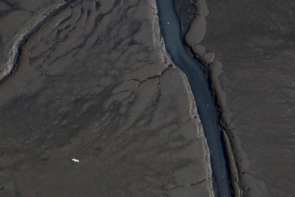 Water pollution in Rio ahead of the Olympic Games