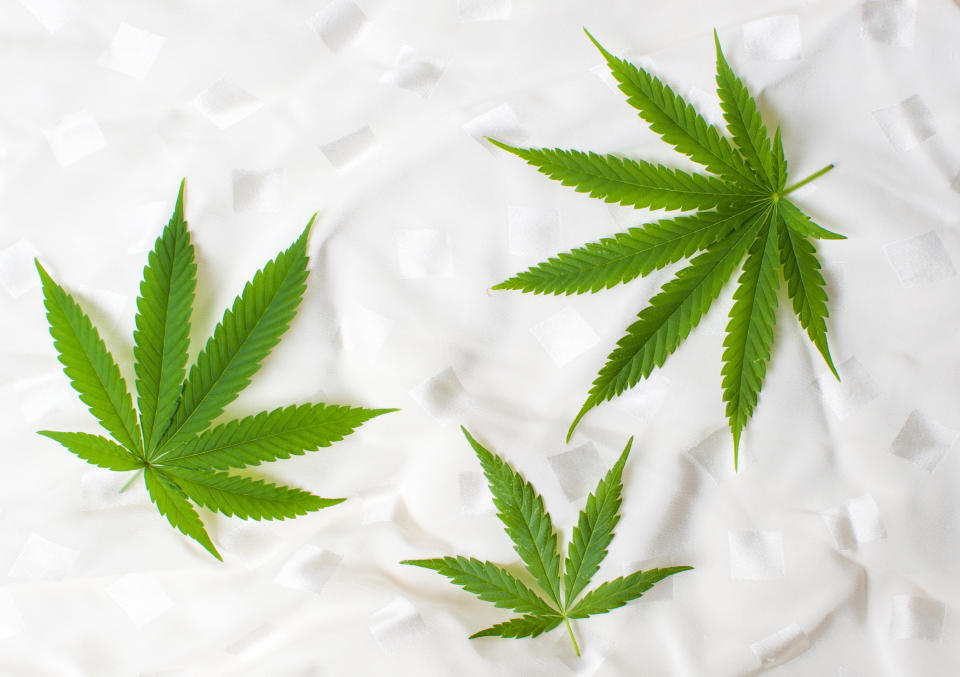 Three marijuana leaves
