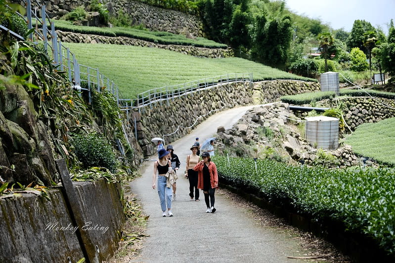 嘉義阿里山｜二延平步道