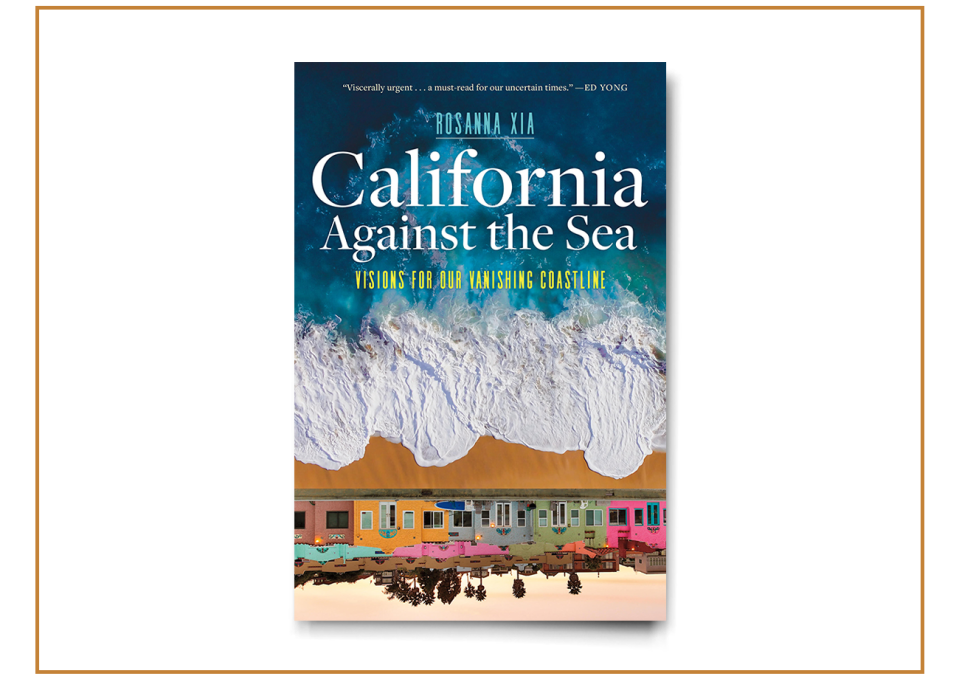 Image of book cover for "California Against the Sea."