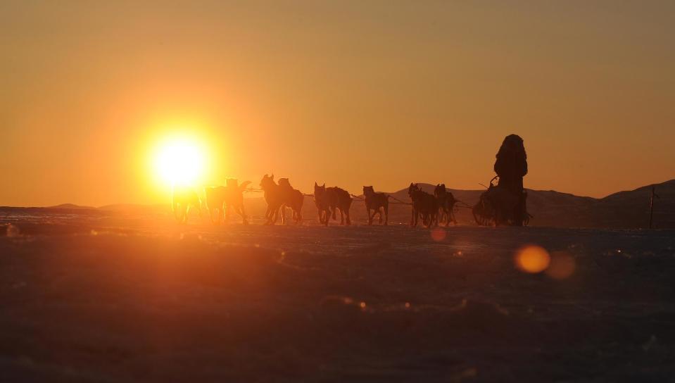 Iditarod musher John Baker, from Kotzebue, AK, comes into the Unalakleet checkpoint at sunrise during the 2014 Iditarod Trail Sled Dog Race on Sunday, March 9, 2014. (AP Photo/The Anchorage Daily News, Bob Hallinen)
