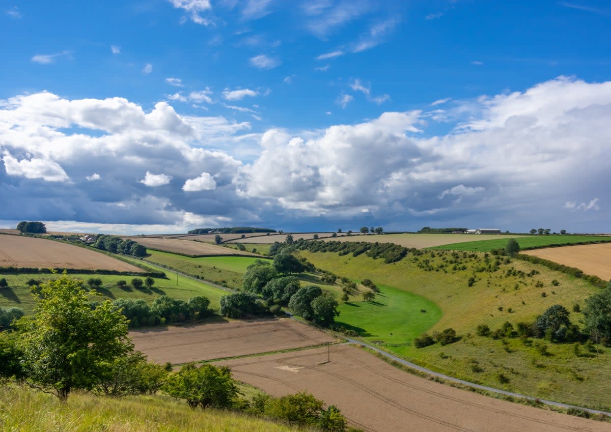 The Yorkshire Wolds are packed with walking potential (Getty Images/iStockphoto)