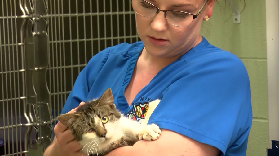 Nearly 50 animals removed from Kansas home. Photos taken on April 16, 2024 (KSN Photo)