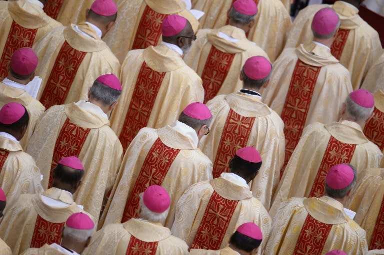 The Roman Catholic Church has since 2002 been rocked by sex abuse allegations