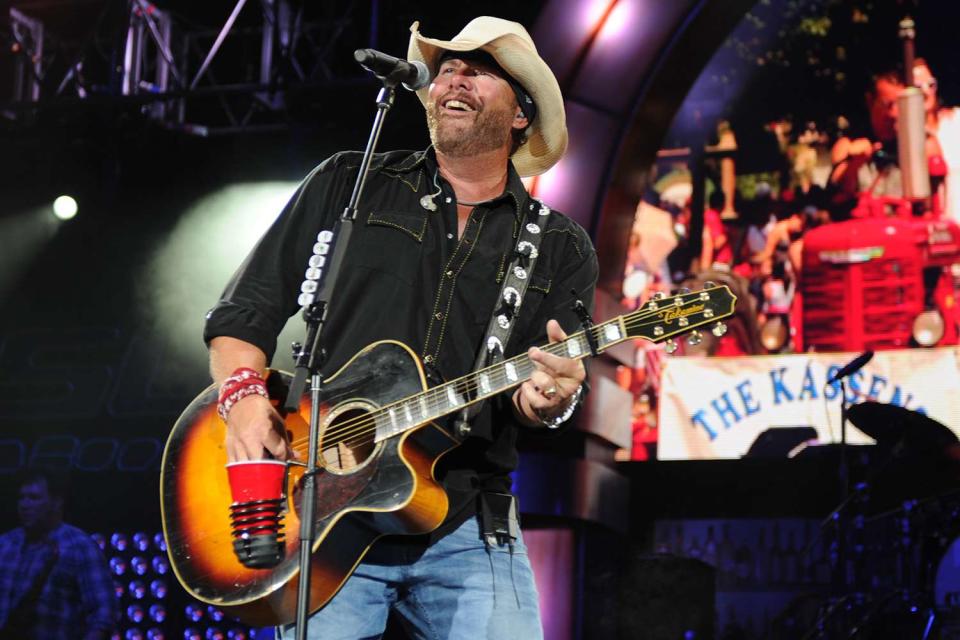 <p>Mediapunch/Shutterstock</p> Toby Keith in 2012