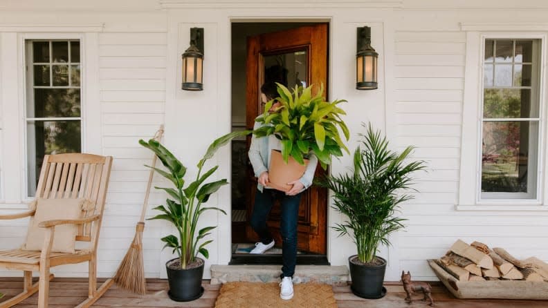 Tall plants promote lots of texture and color elements.