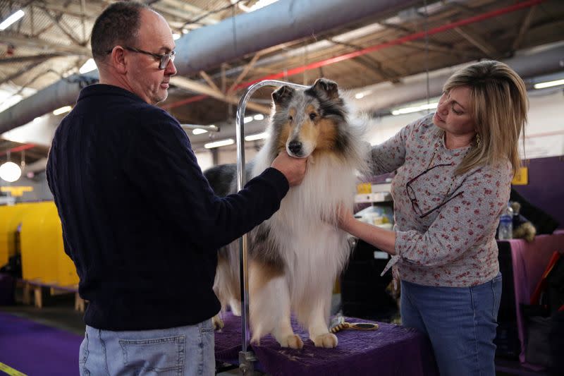 Connie DuBois, right, grooms her collie dog, Saxson during the Westminster Kennel Club Dog Show in New York
