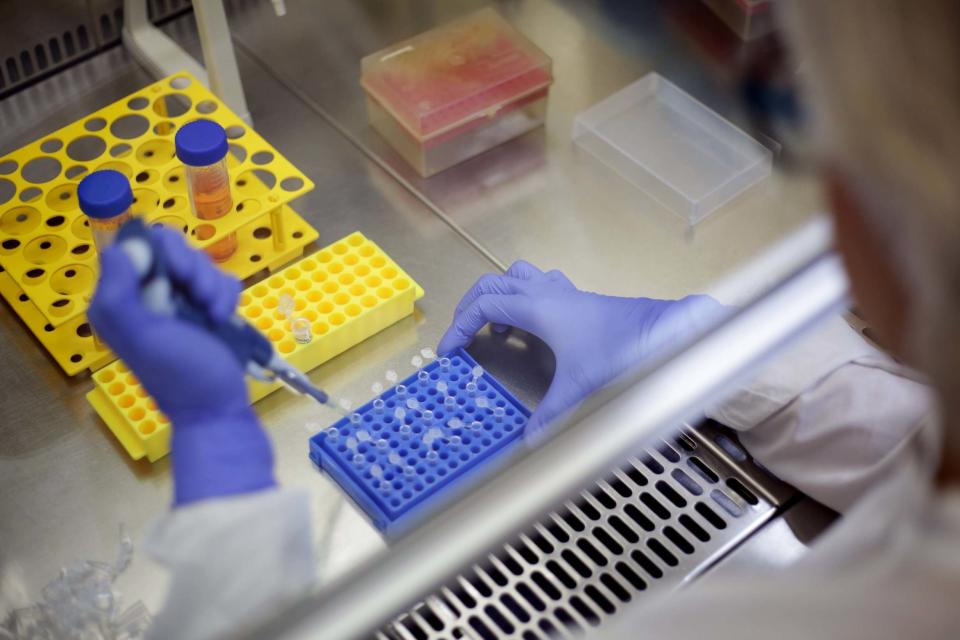 A coronavirus testing laboratory (Getty Images)