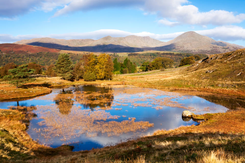 Kelly Hall Tarn in the Lake District, Cumbria