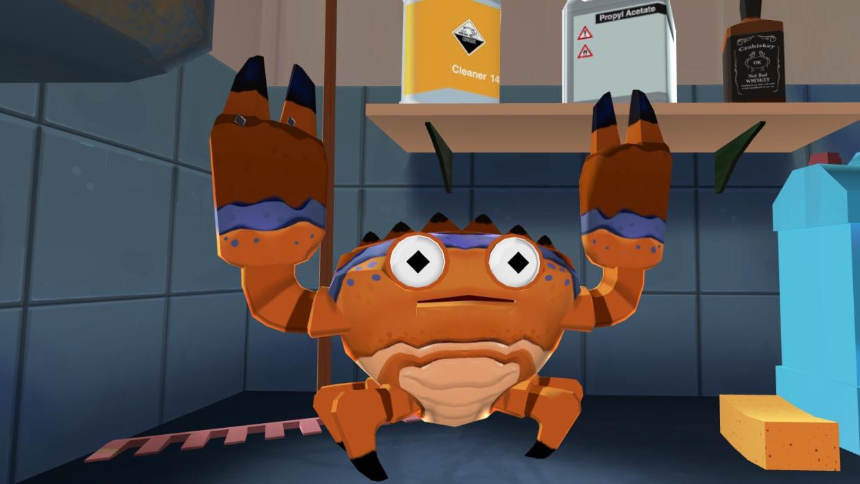  A crab in a storage cupboard. 