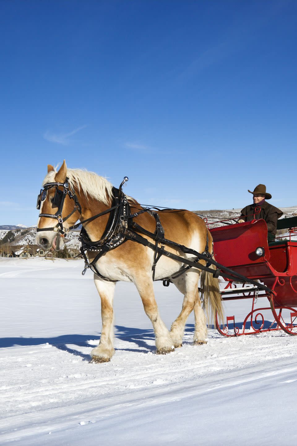 16) Go for a sleigh ride.