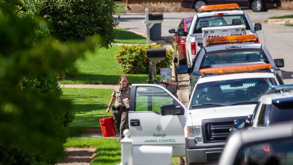 Carrying a red bucket, an animal control officer leaves the home of Keith and Rebecca Gifford and their son, Christopher Gifford on Chamonix Place in Raleigh in 2021. Neighbors on nearby Sandringham Drive spotted a venomous zebra cobra on their porch Monday. Christopher Gifford maintains an Instagram page that includes photos of exotic and venomous snakes including a zebra cobra.