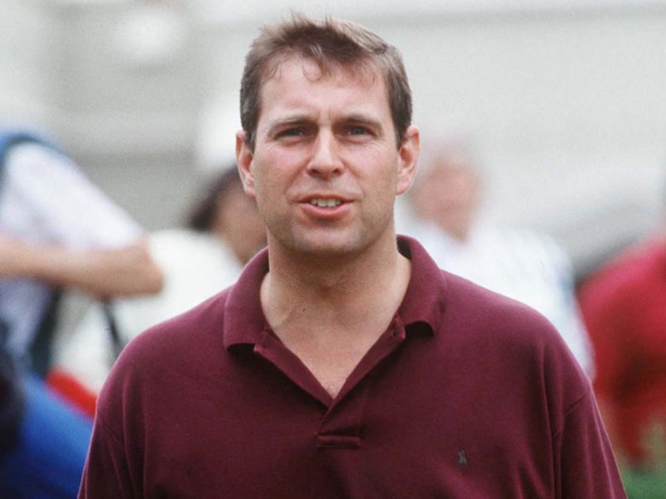 prince andrew in 1995