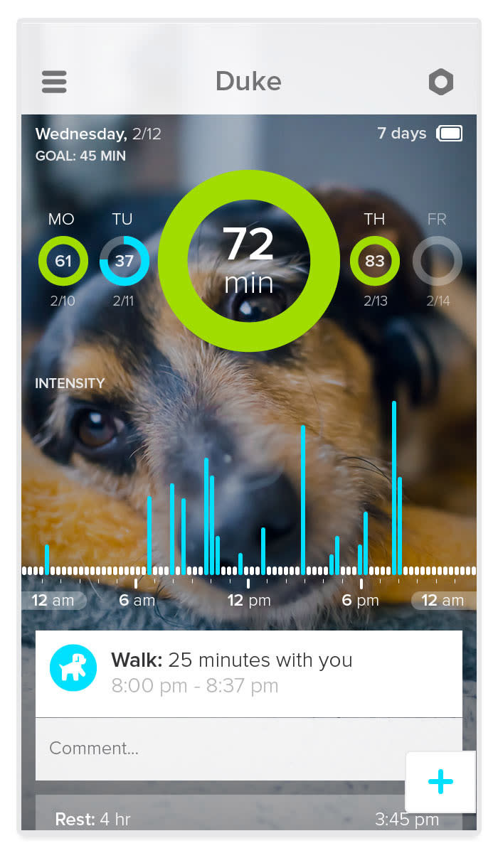 This product image provided by Whistle Labs, Inc. shows the Whistle app that is used in conjunction with a new device, called Whistle, that lets pet owners track how much exercise _ or sleep _ their four-legged friends are getting. (AP Photo/Whistle Labs, Inc.)