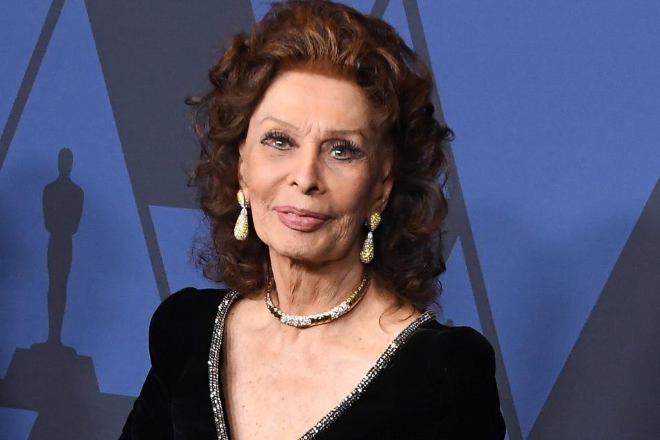 Sophia Loren attends the Academy Of Motion Picture Arts And Sciences' 11th Annual Governors Awards