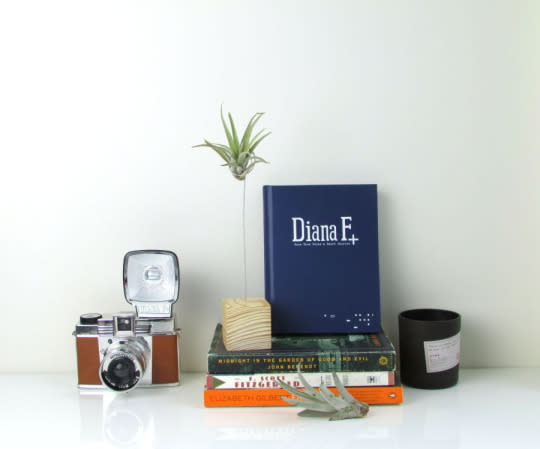 Erin of Francoise et Moi’s DIY air plant stand for Homedit