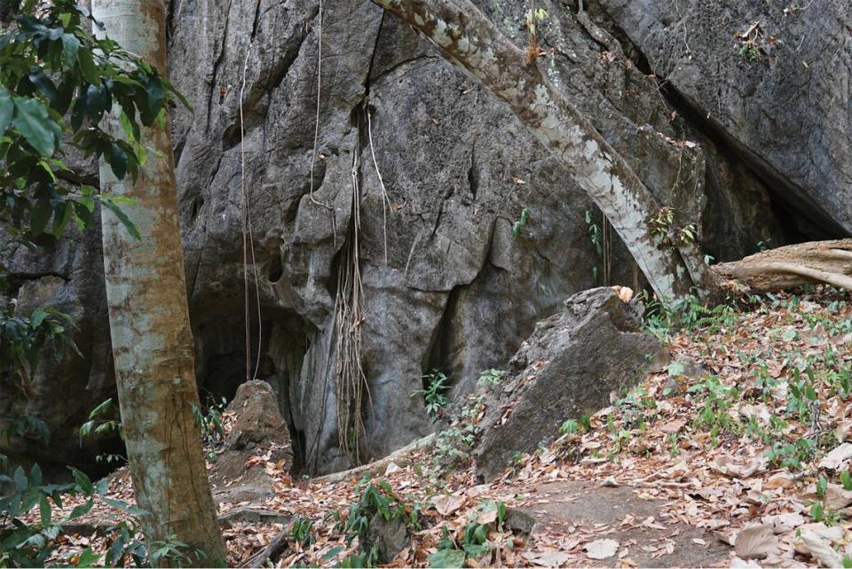 El área donde se descubrió Cyrtodactylus wangkhramensis, o el gecko de dedos doblados de Wangkhram.