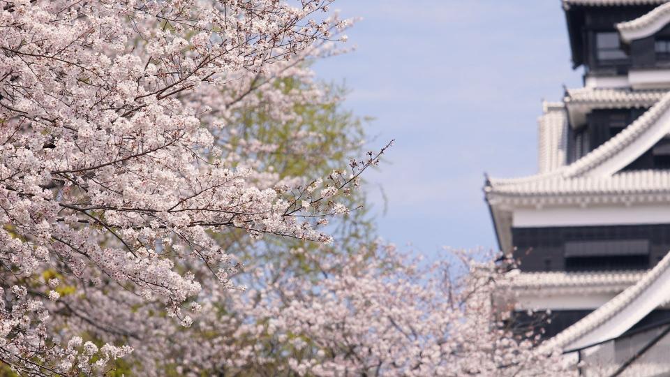 難攻不破－熊本城