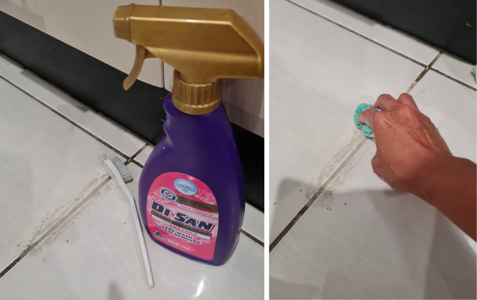 Aldi Disan cleaning hack